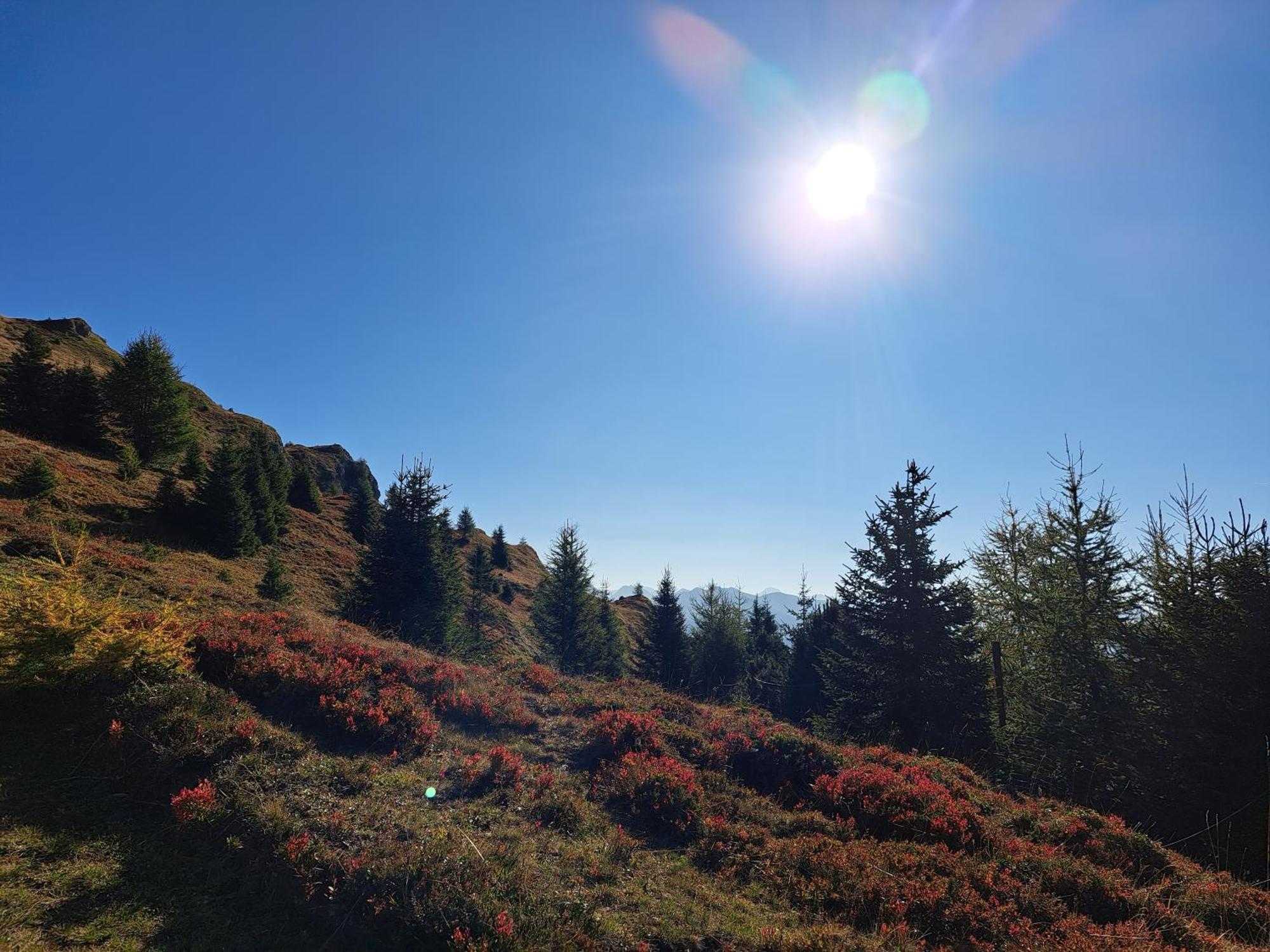 Apart Am Brunnen Ried im Oberinntal Extérieur photo