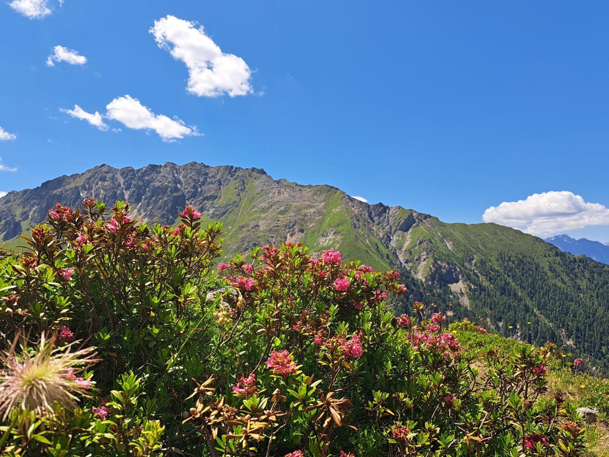 Apart Am Brunnen Ried im Oberinntal Extérieur photo
